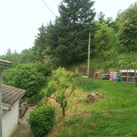 Ca' Del Monte Roma